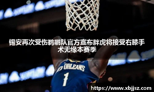 锡安再次受伤鹈鹕队官方宣布胖虎将接受右膝手术无缘本赛季